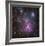 The Trifid Nebula in Sagittarius-Robert Gendler-Framed Giclee Print