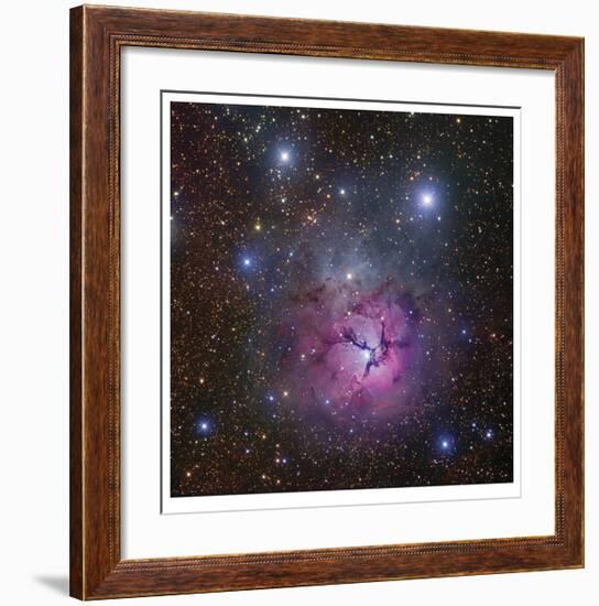 The Trifid Nebula in Sagittarius-Robert Gendler-Framed Giclee Print