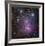 The Trifid Nebula in Sagittarius-Robert Gendler-Framed Giclee Print