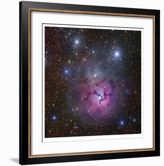 The Trifid Nebula in Sagittarius-Robert Gendler-Framed Giclee Print