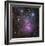 The Trifid Nebula in Sagittarius-Robert Gendler-Framed Giclee Print