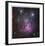 The Trifid Nebula in Sagittarius-Robert Gendler-Framed Giclee Print