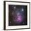 The Trifid Nebula in Sagittarius-Robert Gendler-Framed Giclee Print