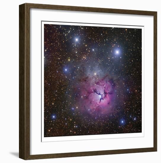 The Trifid Nebula in Sagittarius-Robert Gendler-Framed Giclee Print