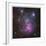 The Trifid Nebula in Sagittarius-Robert Gendler-Framed Giclee Print