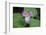 The trillium is a perennial flowering plant native to temperate regions of North America and Asia.-Mallorie Ostrowitz-Framed Photographic Print