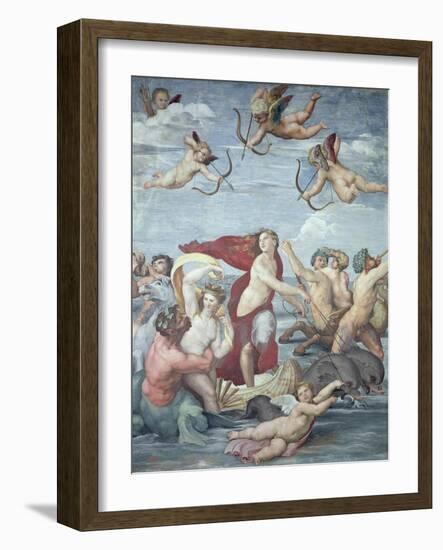 The Triumph of Galatea, 1512-14-Raphael-Framed Giclee Print