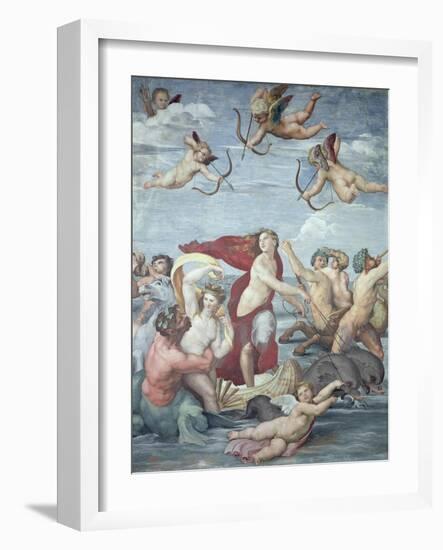 The Triumph of Galatea, 1512-14-Raphael-Framed Giclee Print