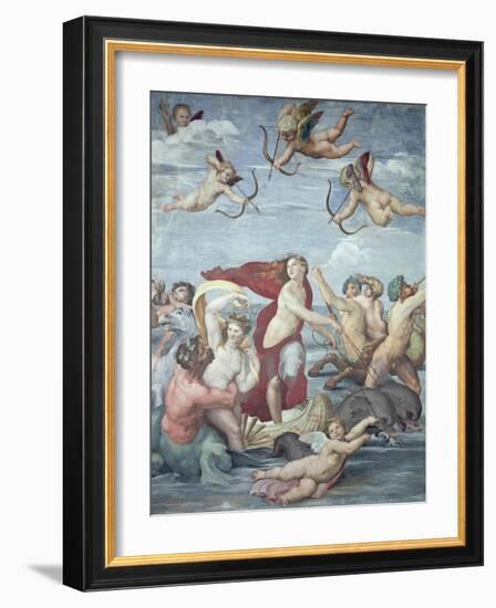 The Triumph of Galatea, 1512-14-Raphael-Framed Giclee Print