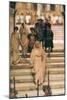 The Triumph of Titus-Sir Lawrence Alma-Tadema-Mounted Art Print