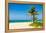 The Tropical Beach of Varadero in Cuba with Coconut Palms and Colorful Sailing Boats-Kamira-Framed Premier Image Canvas