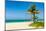 The Tropical Beach of Varadero in Cuba with Coconut Palms and Colorful Sailing Boats-Kamira-Mounted Photographic Print