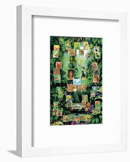 The Tropical Rain Forest-null-Framed Art Print