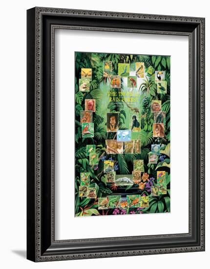 The Tropical Rain Forest-null-Framed Art Print