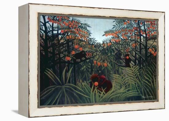 The Tropics, 1910-Henri Rousseau-Framed Premier Image Canvas