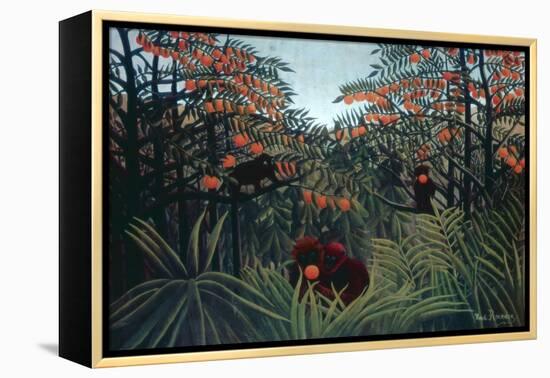 The Tropics, 1910-Henri Rousseau-Framed Premier Image Canvas