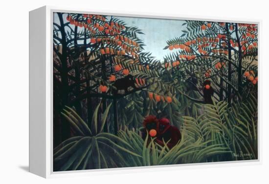 The Tropics, 1910-Henri Rousseau-Framed Premier Image Canvas