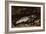 The Trout, 1873-Gustave Courbet-Framed Giclee Print