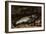 The Trout, 1873-Gustave Courbet-Framed Giclee Print