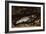 The Trout, 1873-Gustave Courbet-Framed Giclee Print