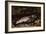 The Trout, 1873-Gustave Courbet-Framed Giclee Print