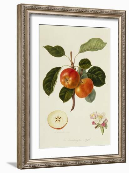 The Trumpington Apple-William Hooker-Framed Giclee Print