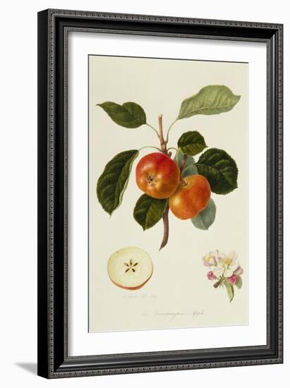 The Trumpington Apple-William Hooker-Framed Giclee Print