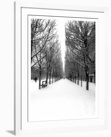 The Tuileries Garden under the snow, Paris-Michel Setboun-Framed Giclee Print