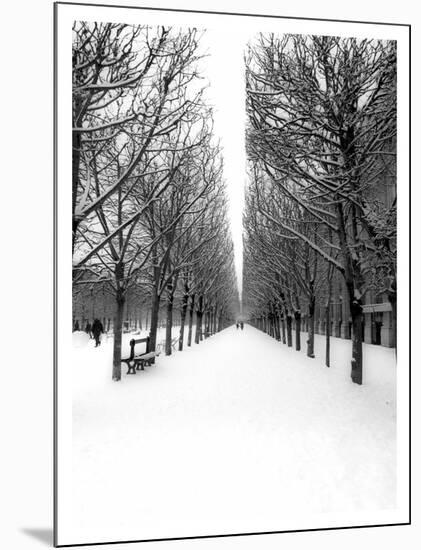 The Tuileries Garden under the snow, Paris-Michel Setboun-Mounted Giclee Print