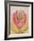 The Tulip Burst Open with a Pop, 1991-Wayne Anderson-Framed Giclee Print