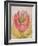 The Tulip Burst Open with a Pop, 1991-Wayne Anderson-Framed Giclee Print