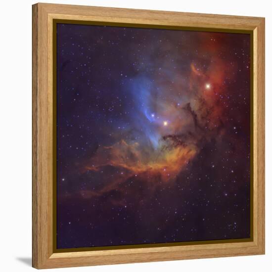 The Tulip Nebula (Sh2-101) in Cygnus-Stocktrek Images-Framed Premier Image Canvas