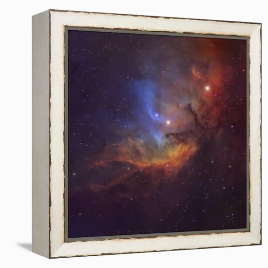 The Tulip Nebula (Sh2-101) in Cygnus-Stocktrek Images-Framed Premier Image Canvas