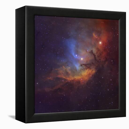 The Tulip Nebula (Sh2-101) in Cygnus-Stocktrek Images-Framed Premier Image Canvas