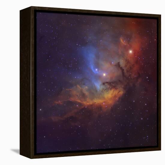 The Tulip Nebula (Sh2-101) in Cygnus-Stocktrek Images-Framed Premier Image Canvas