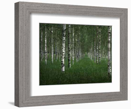 The tunnel-Christian Lindsten-Framed Photographic Print