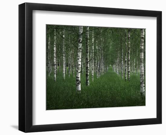 The tunnel-Christian Lindsten-Framed Photographic Print