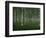 The tunnel-Christian Lindsten-Framed Photographic Print