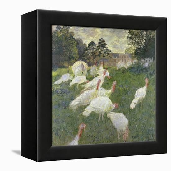 The Turkeys, 1877-Claude Monet-Framed Premier Image Canvas