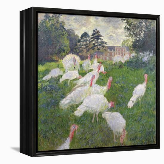 The Turkeys at the Chateau De Rottembourg, Montgeron, 1877-Claude Monet-Framed Premier Image Canvas