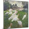 The Turkeys at the Chateau De Rottembourg, Montgeron, 1877-Claude Monet-Mounted Giclee Print