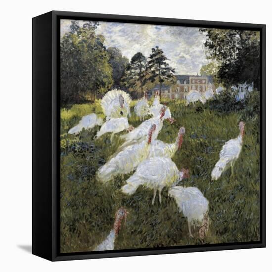 The Turkeys at the Chateau De Rottembourg, Montgeron-Claude Monet-Framed Stretched Canvas