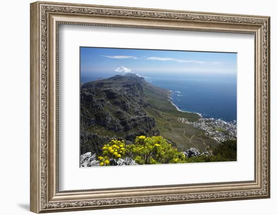 The Twelve Apostles and Atlantic Seaboard, Cape Town, South Africa-David Wall-Framed Photographic Print