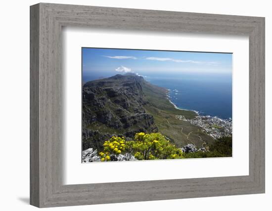 The Twelve Apostles and Atlantic Seaboard, Cape Town, South Africa-David Wall-Framed Photographic Print