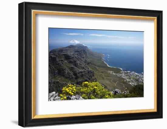 The Twelve Apostles and Atlantic Seaboard, Cape Town, South Africa-David Wall-Framed Photographic Print