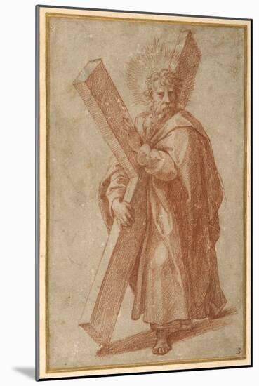 The Twelve Apostles: St. Andrew, 1518-20 (Chalk on Paper)-Giulio Romano-Mounted Giclee Print