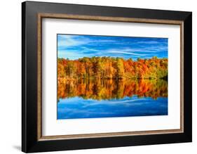 The Two Faces of Fall-Philippe Sainte-Laudy-Framed Photographic Print