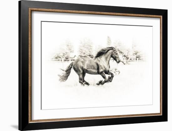 The Two Friends-Sebastian Graf-Framed Giclee Print