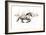 The Two Friends-Sebastian Graf-Framed Giclee Print