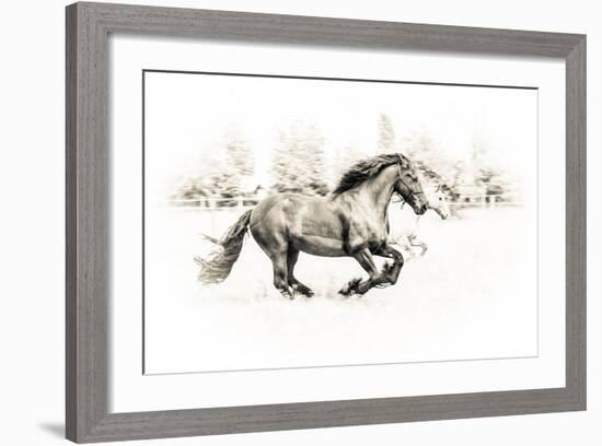 The Two Friends-Sebastian Graf-Framed Photographic Print